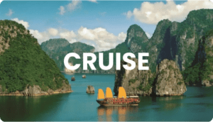Cruise
