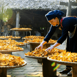 Vietnam’s World-Class Tourism Villages: Top 3 Picks by UNWTO